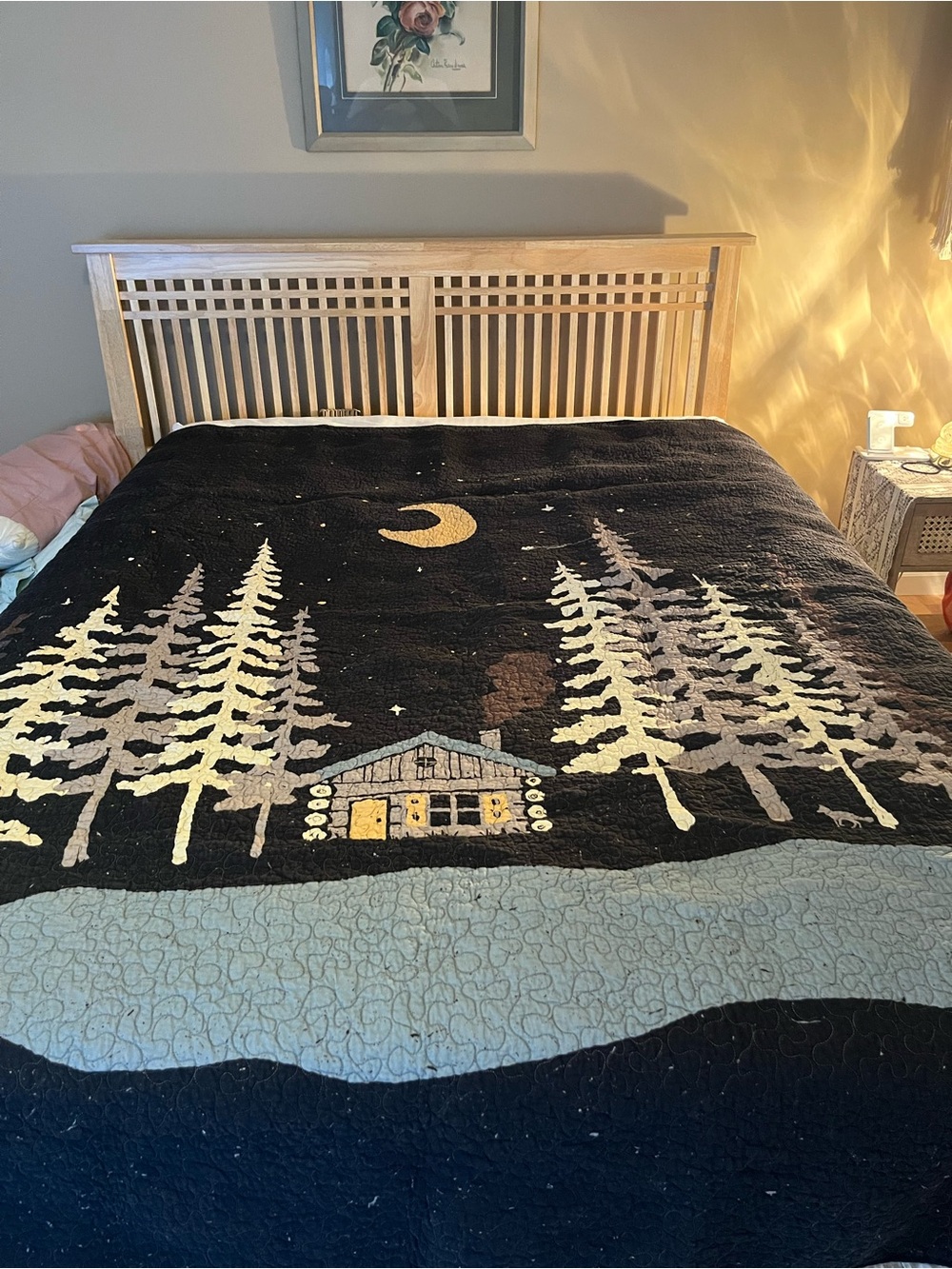 Donna Sharp “moonlit Cabin” Queen Quilt and Valences